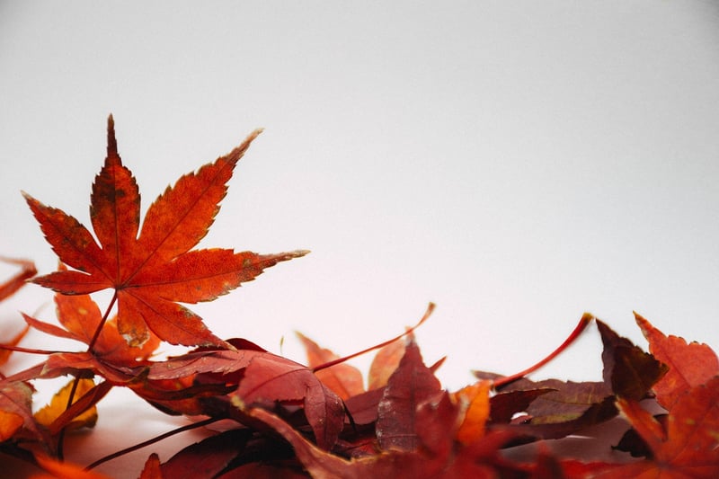Seasonal decorations